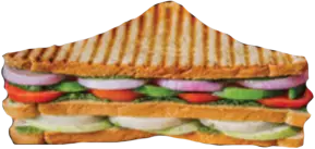 veg grill